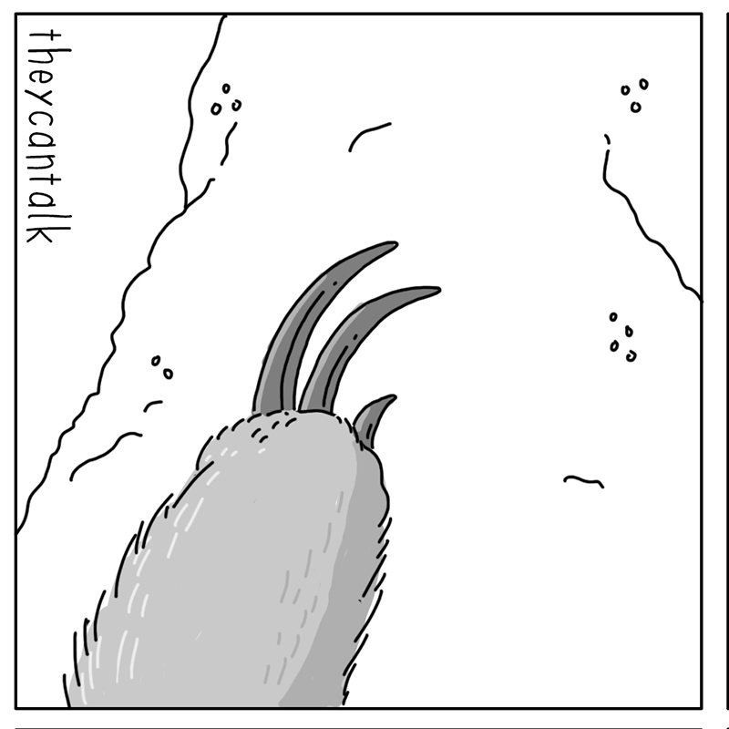 https://cdn.tinyview.com/they-can-talk/2022/07/11/nuts/anteater_ants1.jpg