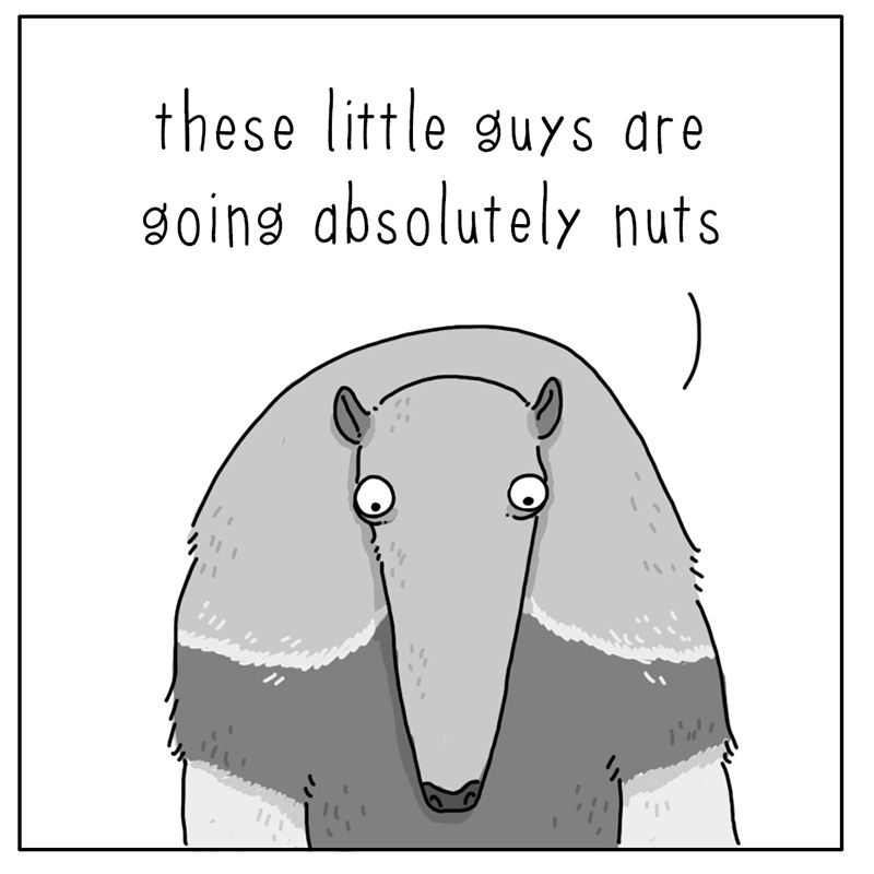 https://cdn.tinyview.com/they-can-talk/2022/07/11/nuts/anteater_ants4.jpg