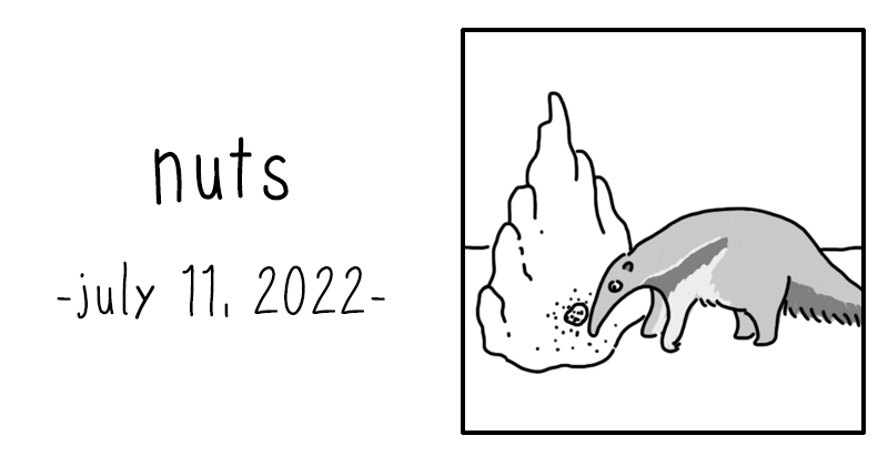 nuts