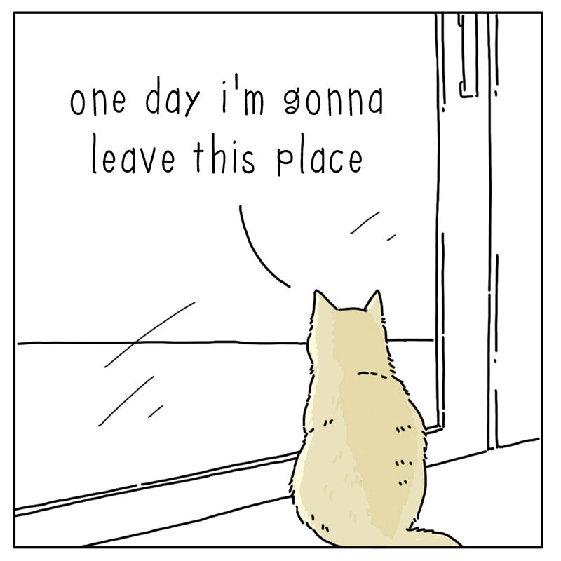 https://cdn.tinyview.com/they-can-talk/2022/07/15/ambition/cat_ambition_1.jpg