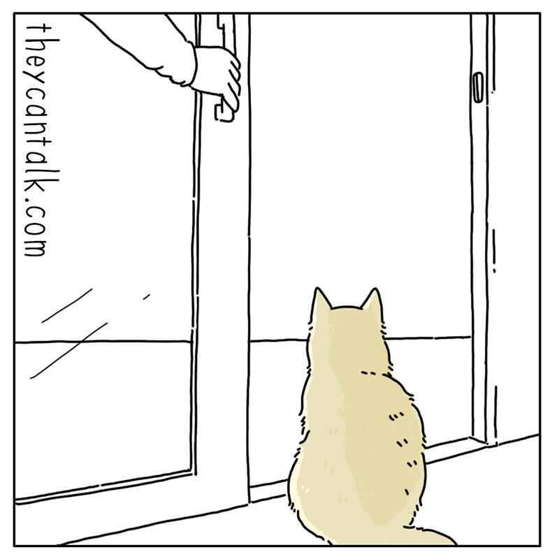 https://cdn.tinyview.com/they-can-talk/2022/07/15/ambition/cat_ambition_3.jpg