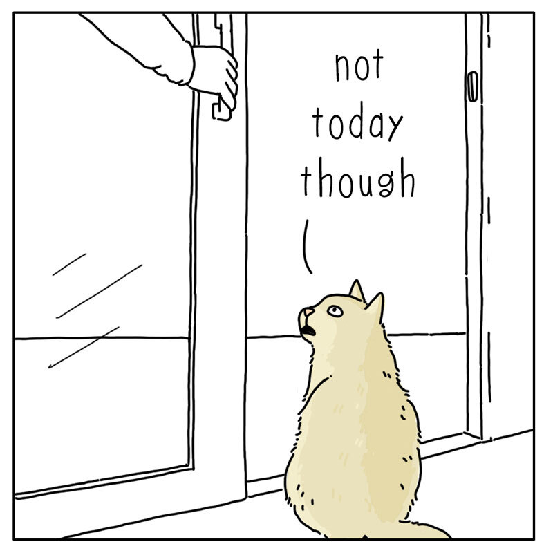 https://cdn.tinyview.com/they-can-talk/2022/07/15/ambition/cat_ambition_4.jpg