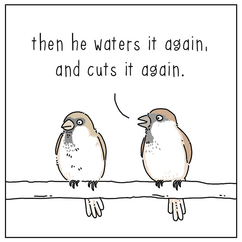 https://cdn.tinyview.com/they-can-talk/2022/07/22/lawn/bird_lawn_2.jpg