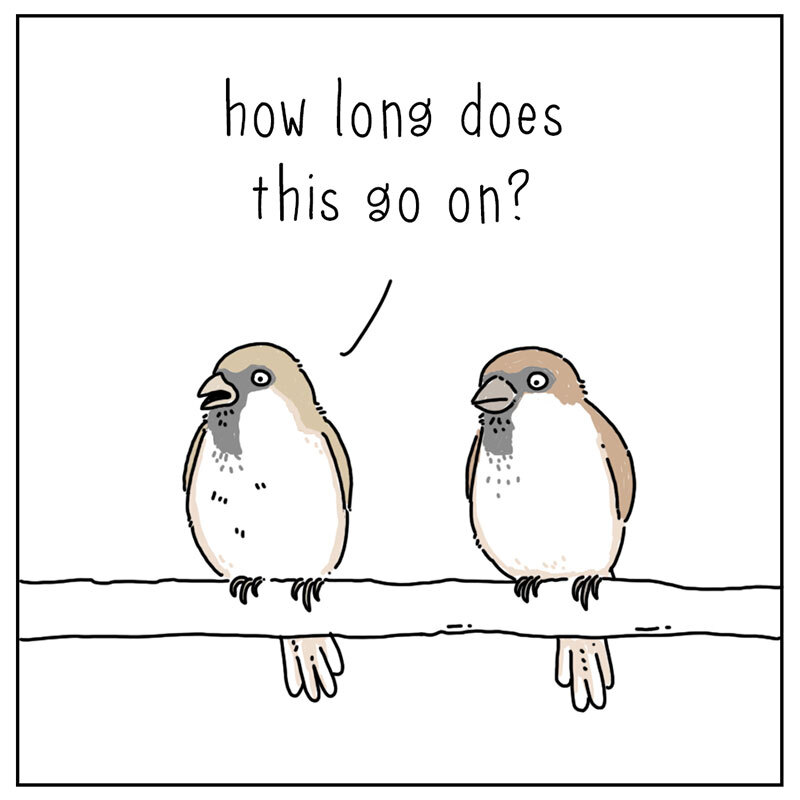 https://cdn.tinyview.com/they-can-talk/2022/07/22/lawn/bird_lawn_3.jpg