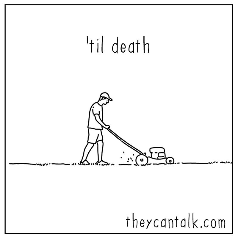 https://cdn.tinyview.com/they-can-talk/2022/07/22/lawn/bird_lawn_4.jpg