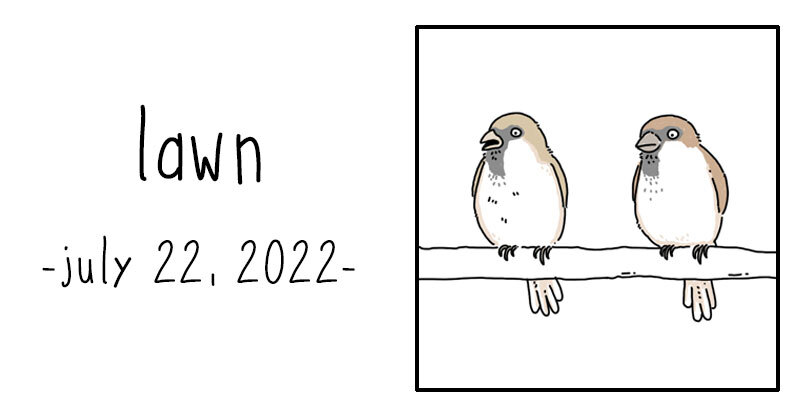 lawn