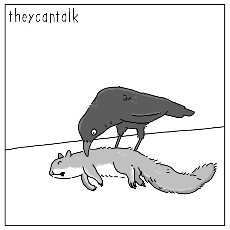https://cdn.tinyview.com/they-can-talk/2022/07/25/dead/squirrel_dead_1.jpg