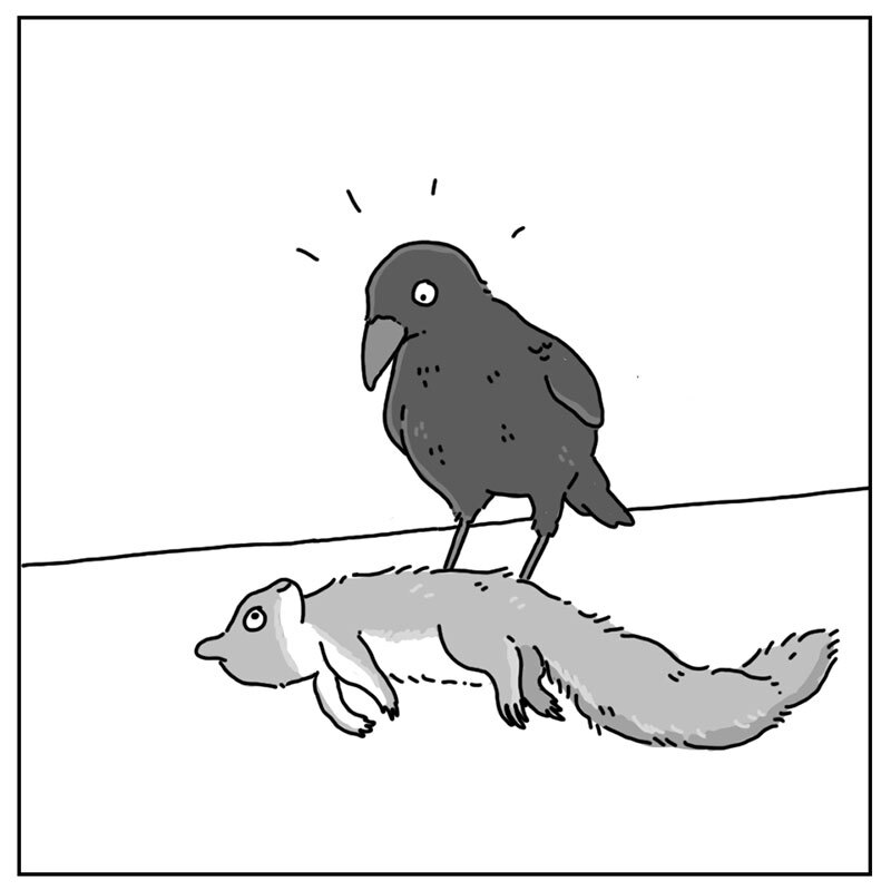 https://cdn.tinyview.com/they-can-talk/2022/07/25/dead/squirrel_dead_2.jpg