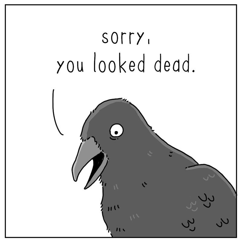 https://cdn.tinyview.com/they-can-talk/2022/07/25/dead/squirrel_dead_3.jpg