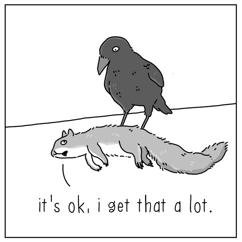 https://cdn.tinyview.com/they-can-talk/2022/07/25/dead/squirrel_dead_4.jpg