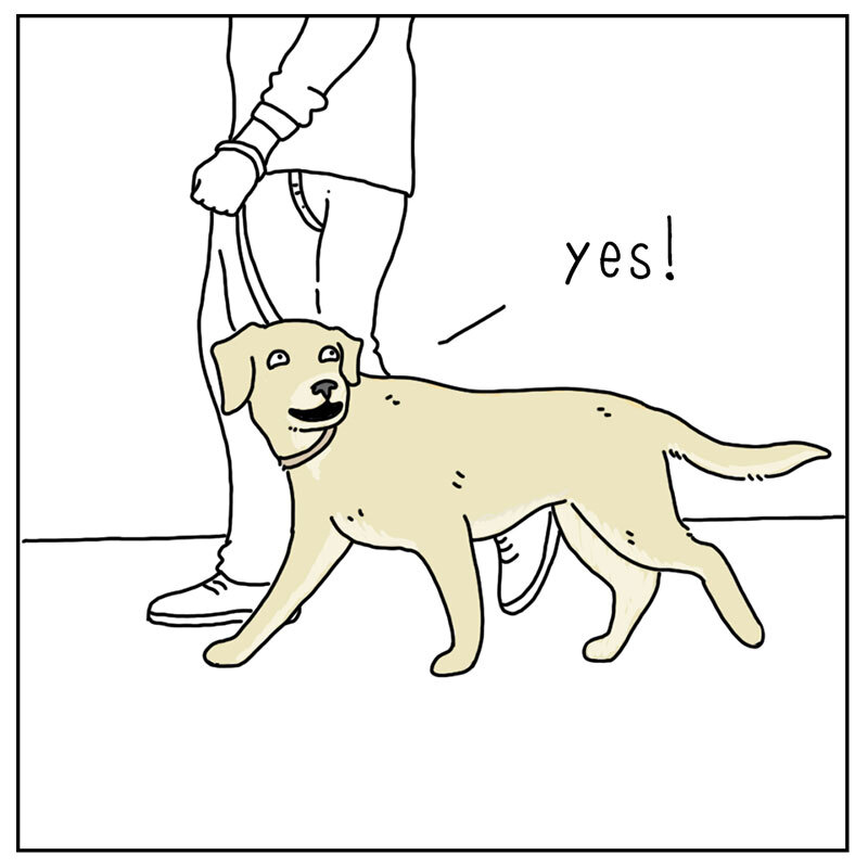 https://cdn.tinyview.com/they-can-talk/2022/07/29/play/dog_play2.jpg