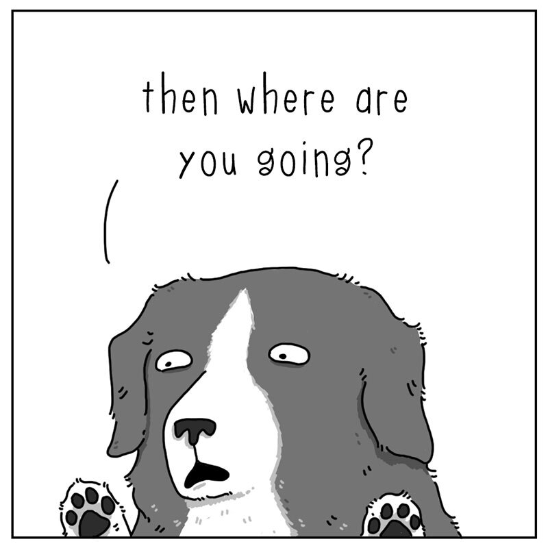https://cdn.tinyview.com/they-can-talk/2022/07/29/play/dog_play3.jpg