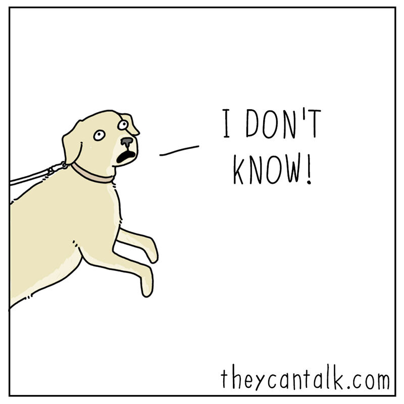 https://cdn.tinyview.com/they-can-talk/2022/07/29/play/dog_play4.jpg