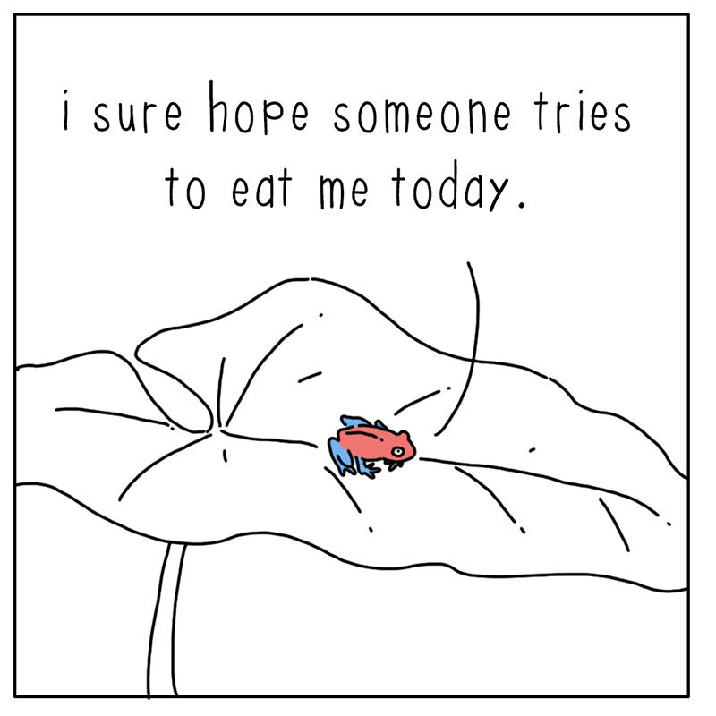 https://cdn.tinyview.com/they-can-talk/2022/08/01/eat-me/frog_eatme_1.jpg
