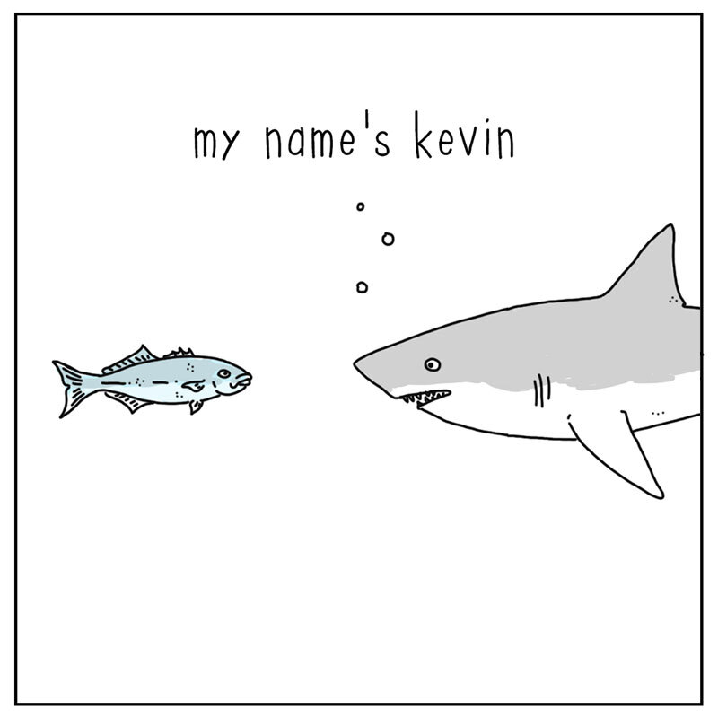 https://cdn.tinyview.com/they-can-talk/2022/08/05/name/shark_name_1.jpg