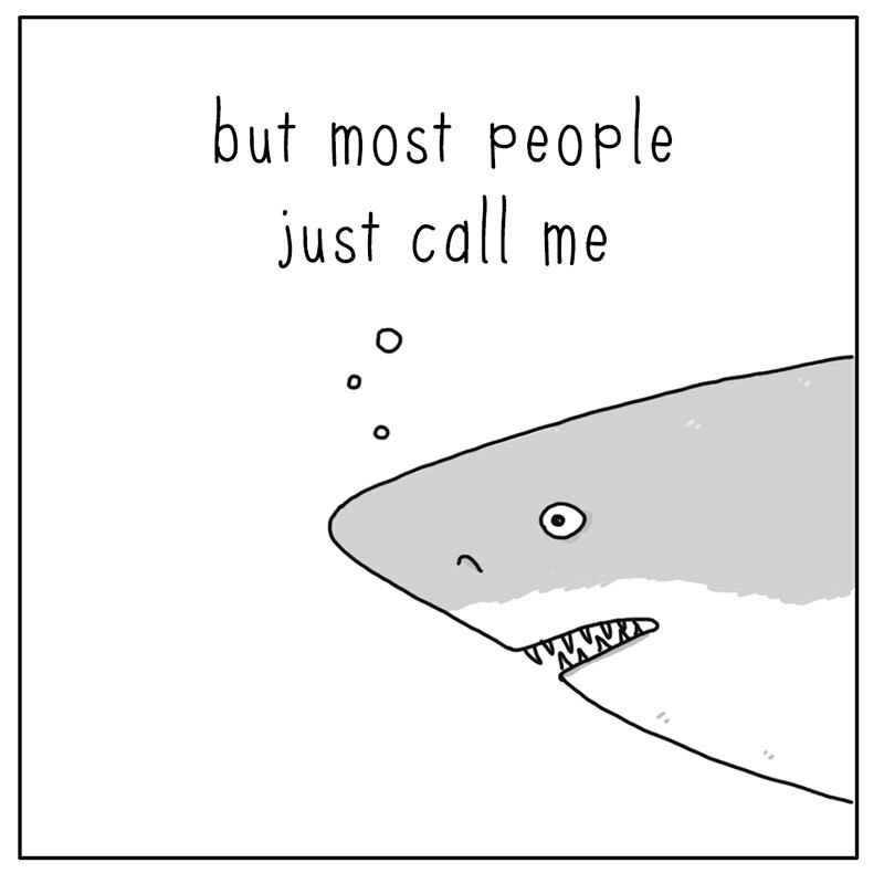 https://cdn.tinyview.com/they-can-talk/2022/08/05/name/shark_name_2.jpg