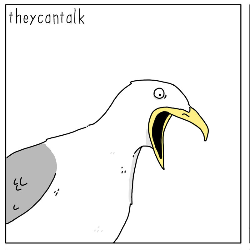 https://cdn.tinyview.com/they-can-talk/2022/08/08/wait/seagull_wait_1.jpg
