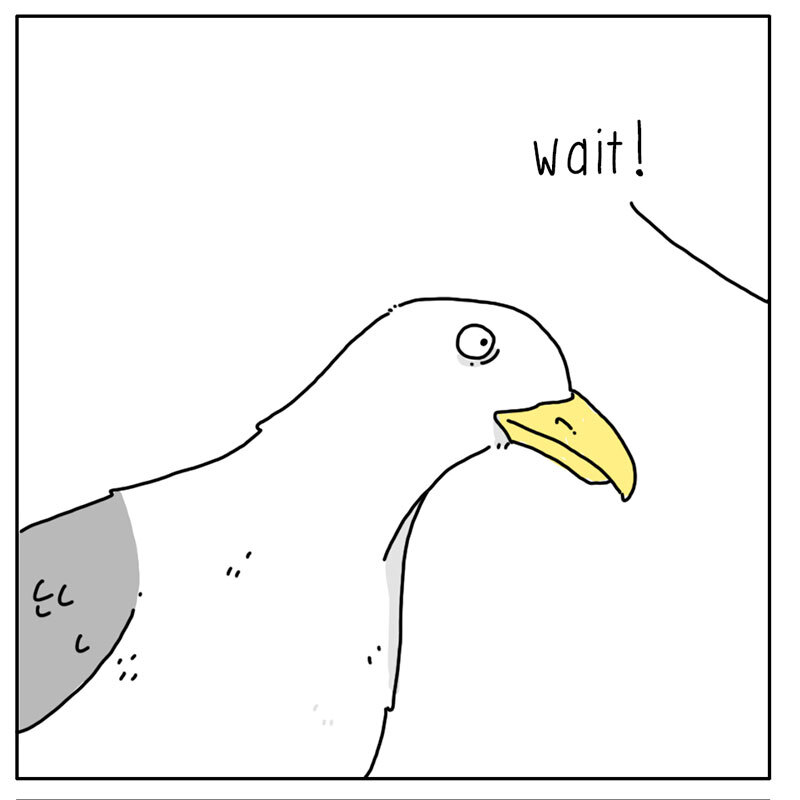 https://cdn.tinyview.com/they-can-talk/2022/08/08/wait/seagull_wait_2.jpg