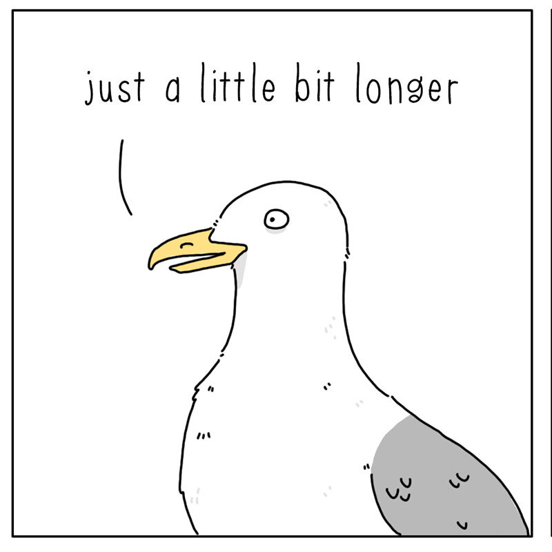 https://cdn.tinyview.com/they-can-talk/2022/08/08/wait/seagull_wait_3.jpg