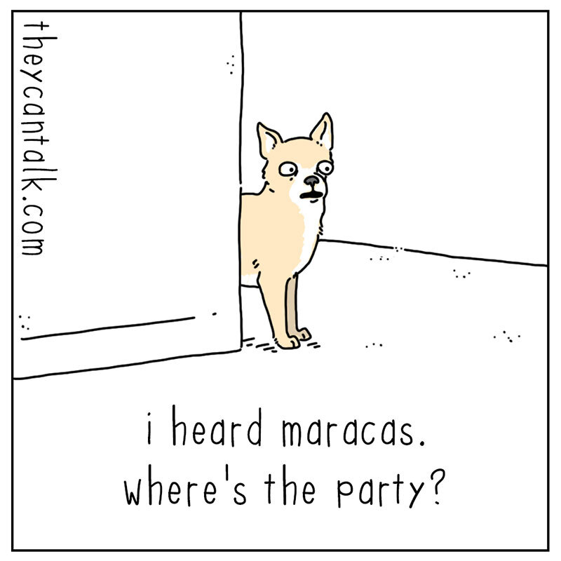 https://cdn.tinyview.com/they-can-talk/2022/08/12/maracas/dog_maracas_1.jpg