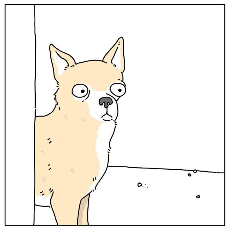 https://cdn.tinyview.com/they-can-talk/2022/08/12/maracas/dog_maracas_3.jpg