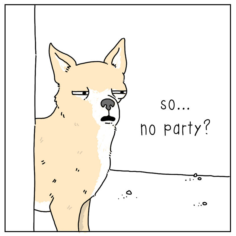 https://cdn.tinyview.com/they-can-talk/2022/08/12/maracas/dog_maracas_4.jpg