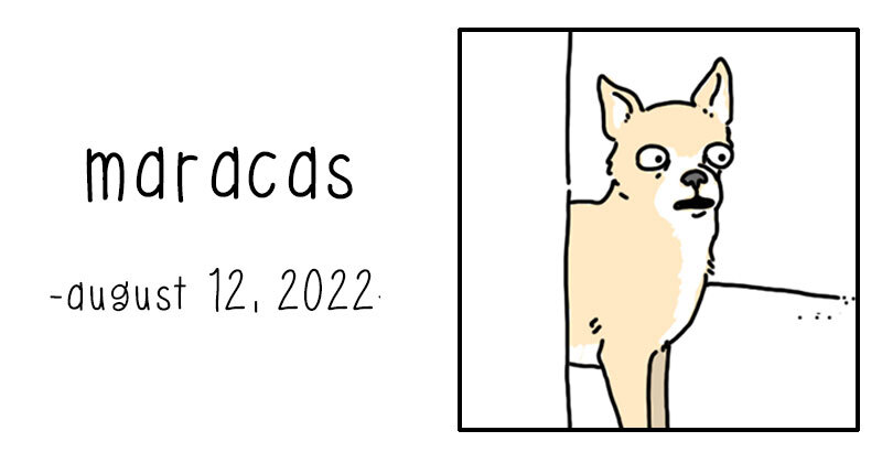 maracas