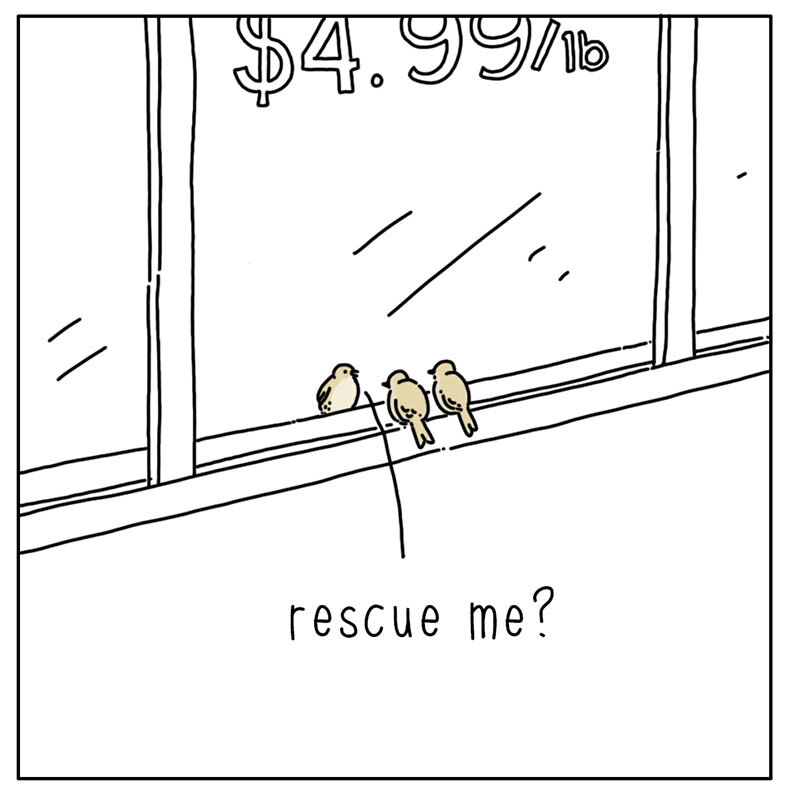 https://cdn.tinyview.com/they-can-talk/2022/08/15/grocery-store/bird_grocerystore_1.jpg