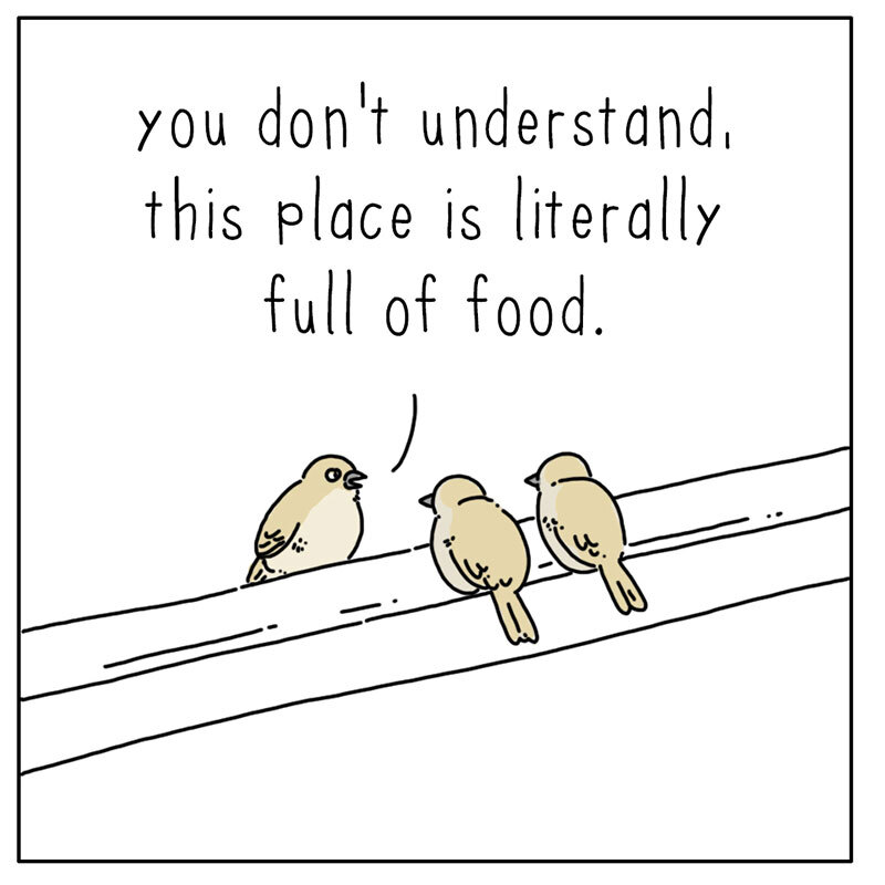 https://cdn.tinyview.com/they-can-talk/2022/08/15/grocery-store/bird_grocerystore_2.jpg