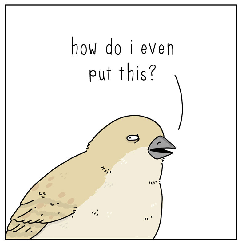 https://cdn.tinyview.com/they-can-talk/2022/08/15/grocery-store/bird_grocerystore_3.jpg