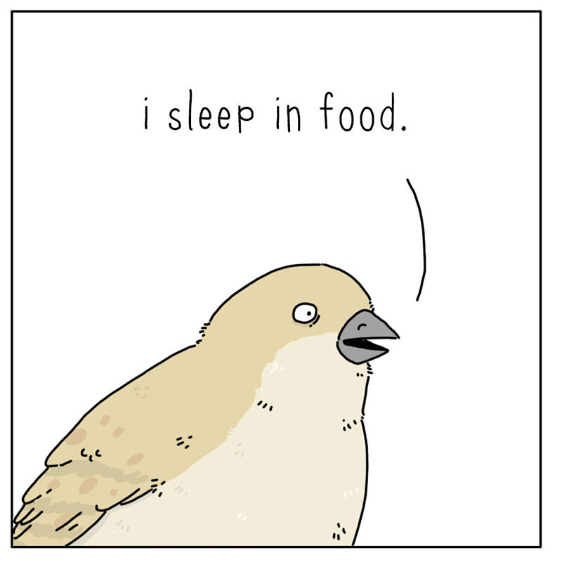 https://cdn.tinyview.com/they-can-talk/2022/08/15/grocery-store/bird_grocerystore_4.jpg