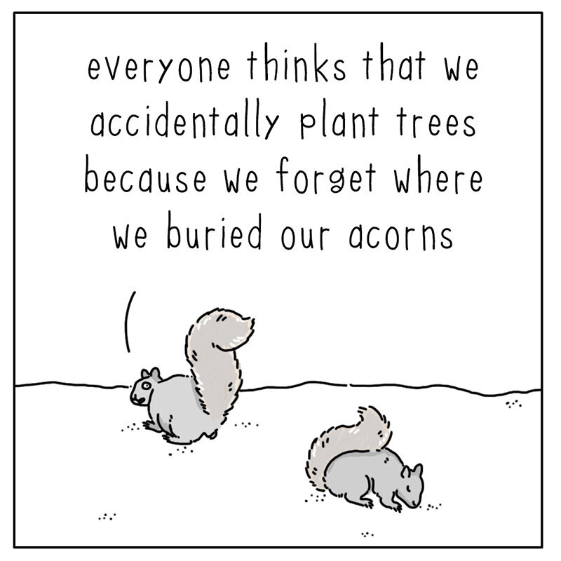 https://cdn.tinyview.com/they-can-talk/2022/08/19/future/squirrel_future_1.jpg