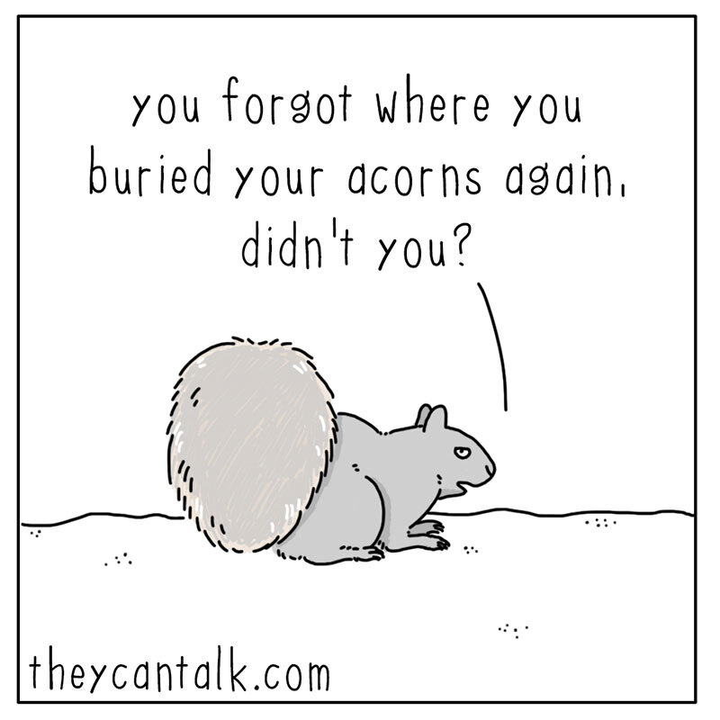 https://cdn.tinyview.com/they-can-talk/2022/08/19/future/squirrel_future_3.jpg