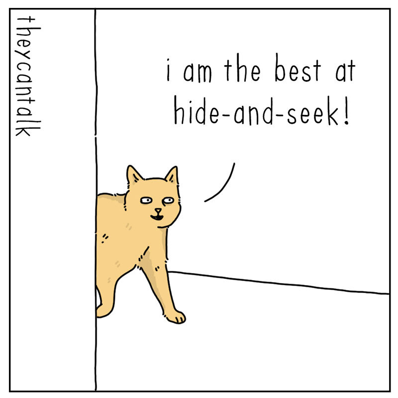 https://cdn.tinyview.com/they-can-talk/2022/08/22/hide-and-seek/cat_hidenseek_1.jpg