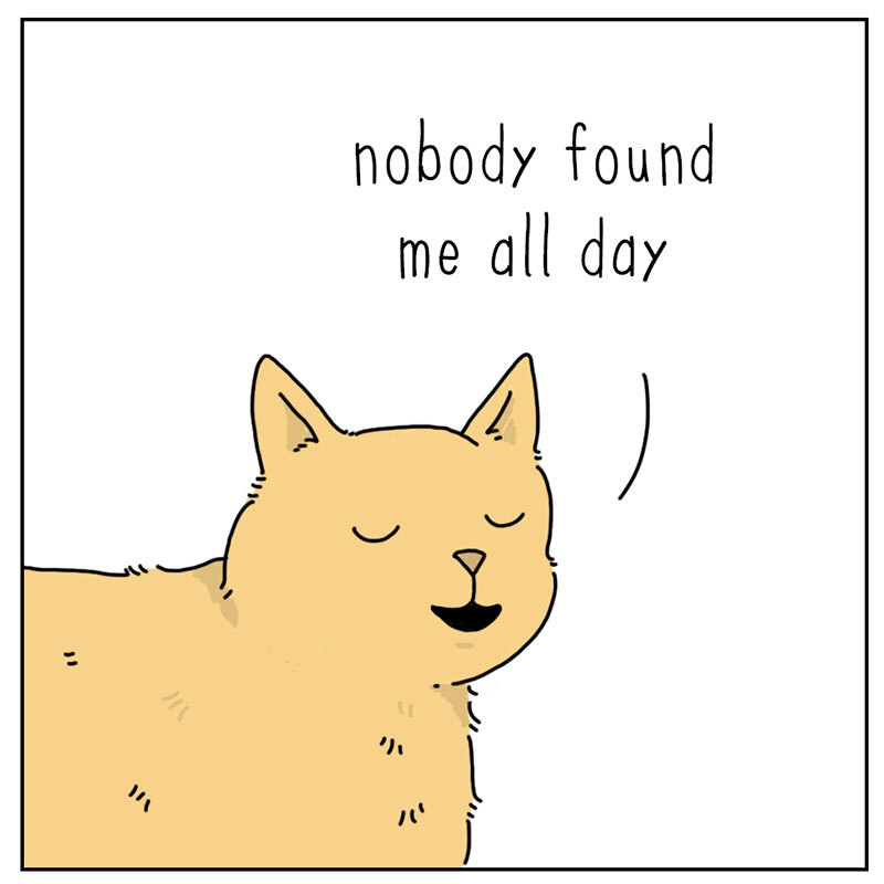 https://cdn.tinyview.com/they-can-talk/2022/08/22/hide-and-seek/cat_hidenseek_2.jpg