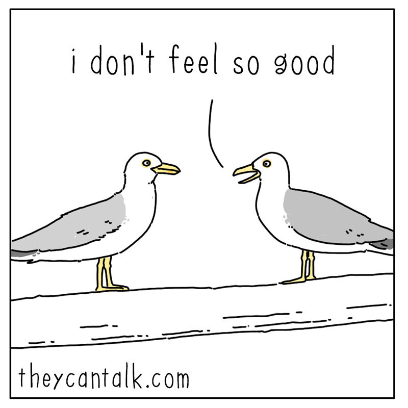 https://cdn.tinyview.com/they-can-talk/2022/08/26/diet/seagull_diet_1.jpg