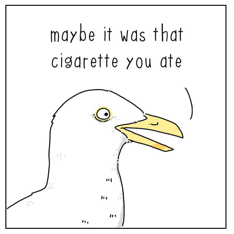 https://cdn.tinyview.com/they-can-talk/2022/08/26/diet/seagull_diet_2.jpg
