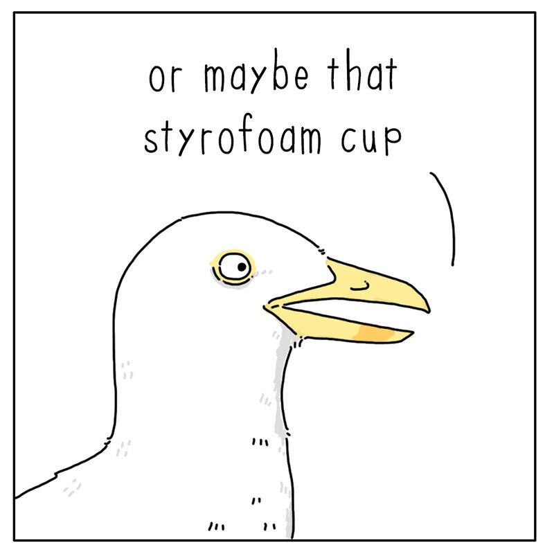 https://cdn.tinyview.com/they-can-talk/2022/08/26/diet/seagull_diet_3.jpg