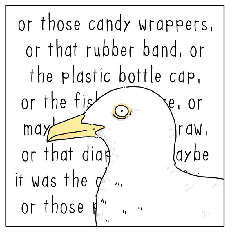 https://cdn.tinyview.com/they-can-talk/2022/08/26/diet/seagull_diet_4.jpg