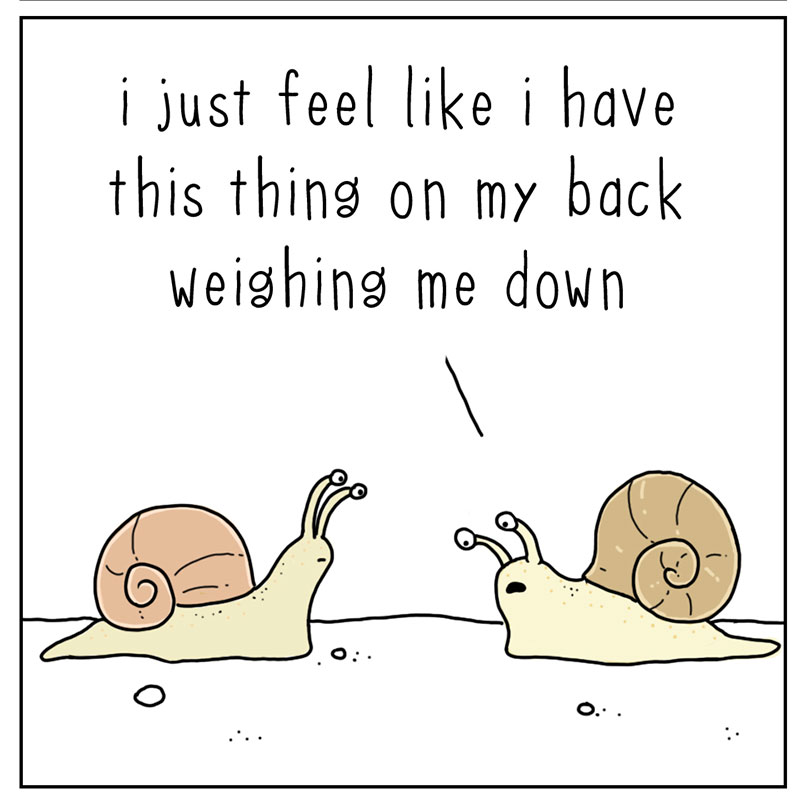 https://cdn.tinyview.com/they-can-talk/2022/09/02/shell/snail_shell_1.jpg