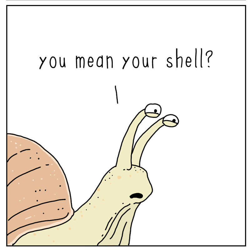 https://cdn.tinyview.com/they-can-talk/2022/09/02/shell/snail_shell_2.jpg