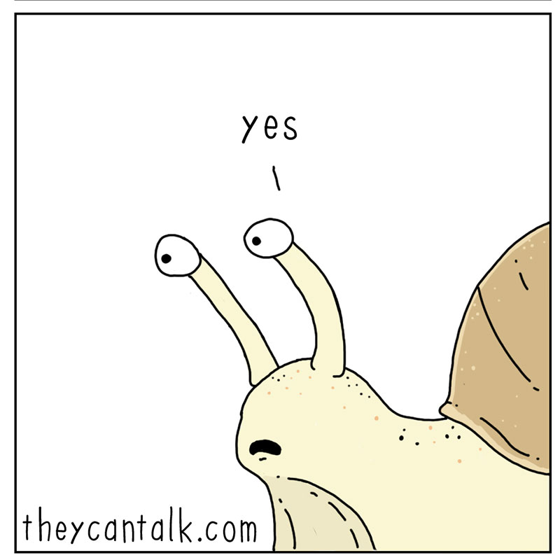 https://cdn.tinyview.com/they-can-talk/2022/09/02/shell/snail_shell_3.jpg