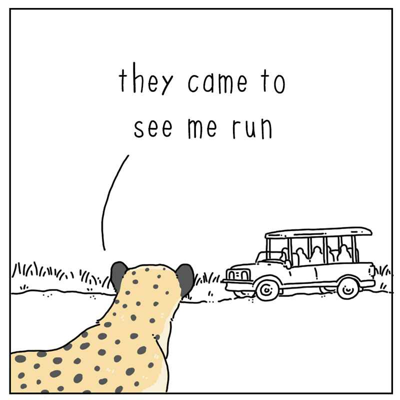 https://cdn.tinyview.com/they-can-talk/2022/09/04/expectations/cheetah_expectations_1.jpg