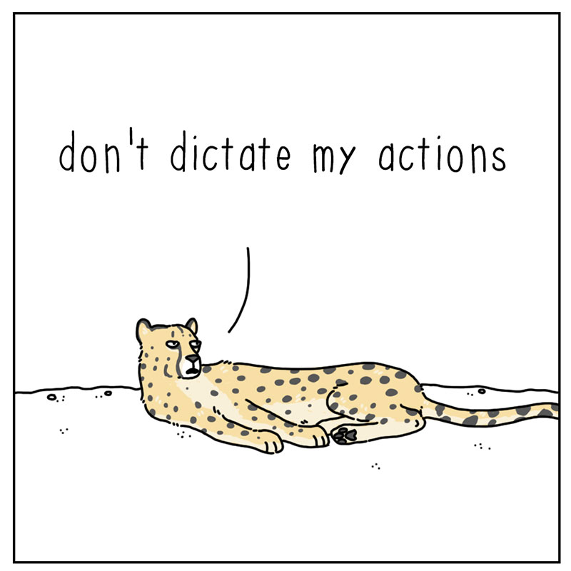 https://cdn.tinyview.com/they-can-talk/2022/09/04/expectations/cheetah_expectations_3.jpg