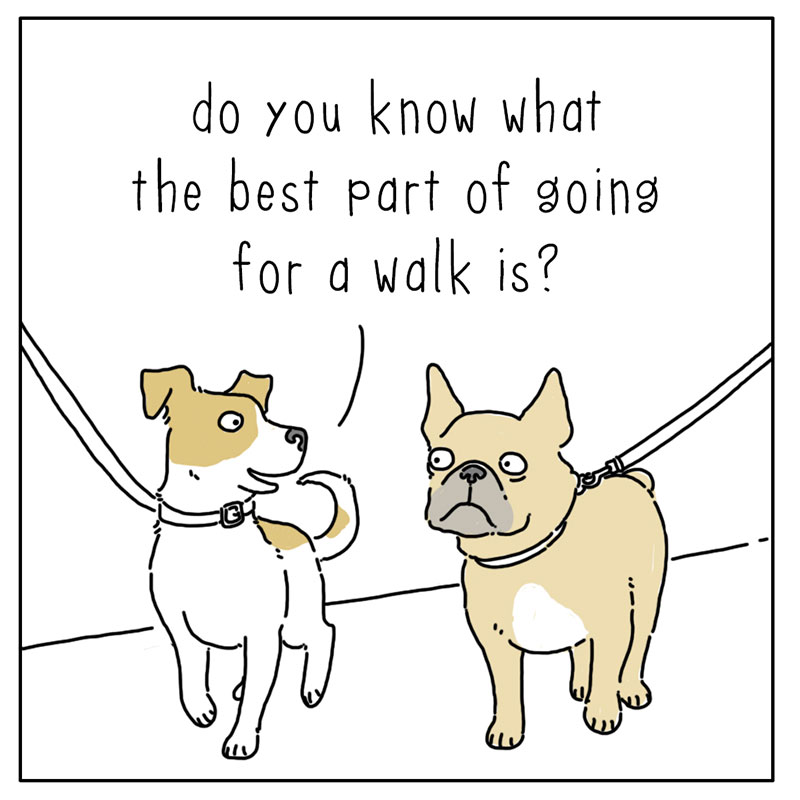 https://cdn.tinyview.com/they-can-talk/2022/09/09/walks/dog_walks_1.jpg