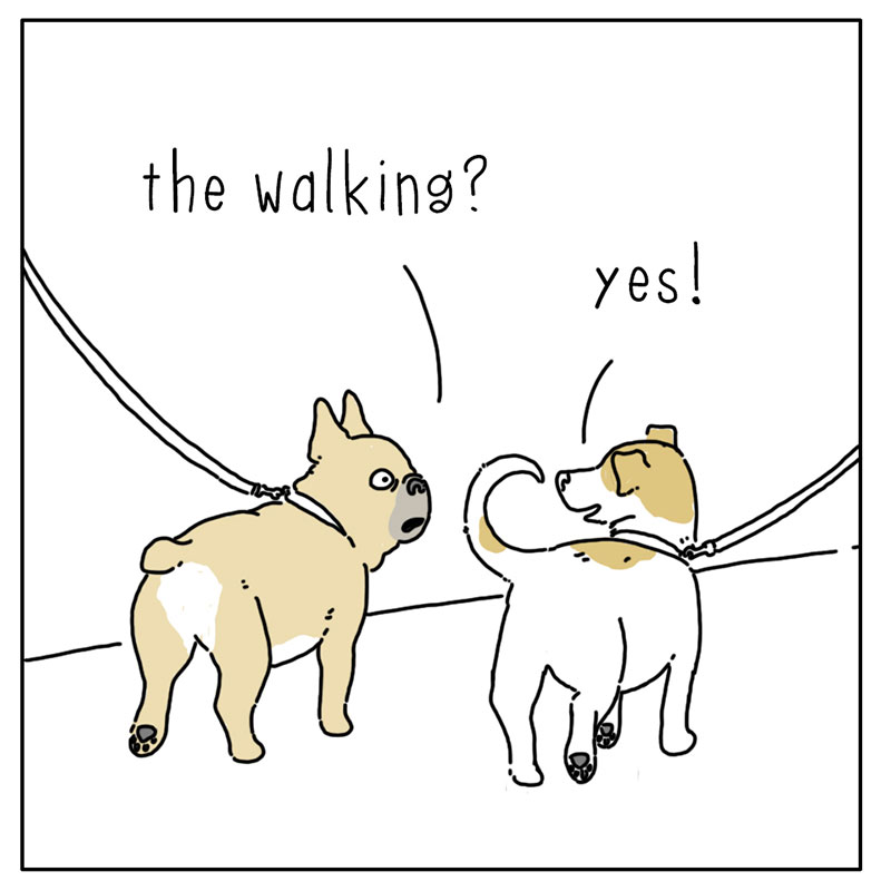 https://cdn.tinyview.com/they-can-talk/2022/09/09/walks/dog_walks_2.jpg
