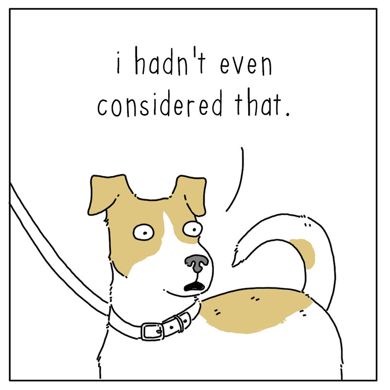 https://cdn.tinyview.com/they-can-talk/2022/09/09/walks/dog_walks_4.jpg