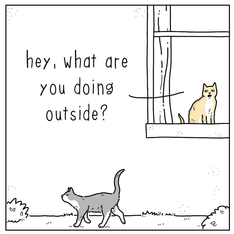 https://cdn.tinyview.com/they-can-talk/2022/09/15/lies/cat_lies_1.jpg