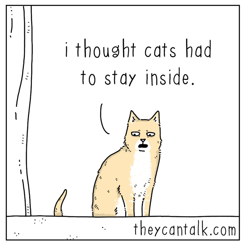 https://cdn.tinyview.com/they-can-talk/2022/09/15/lies/cat_lies_2.jpg