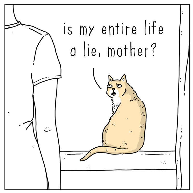 https://cdn.tinyview.com/they-can-talk/2022/09/15/lies/cat_lies_3.jpg